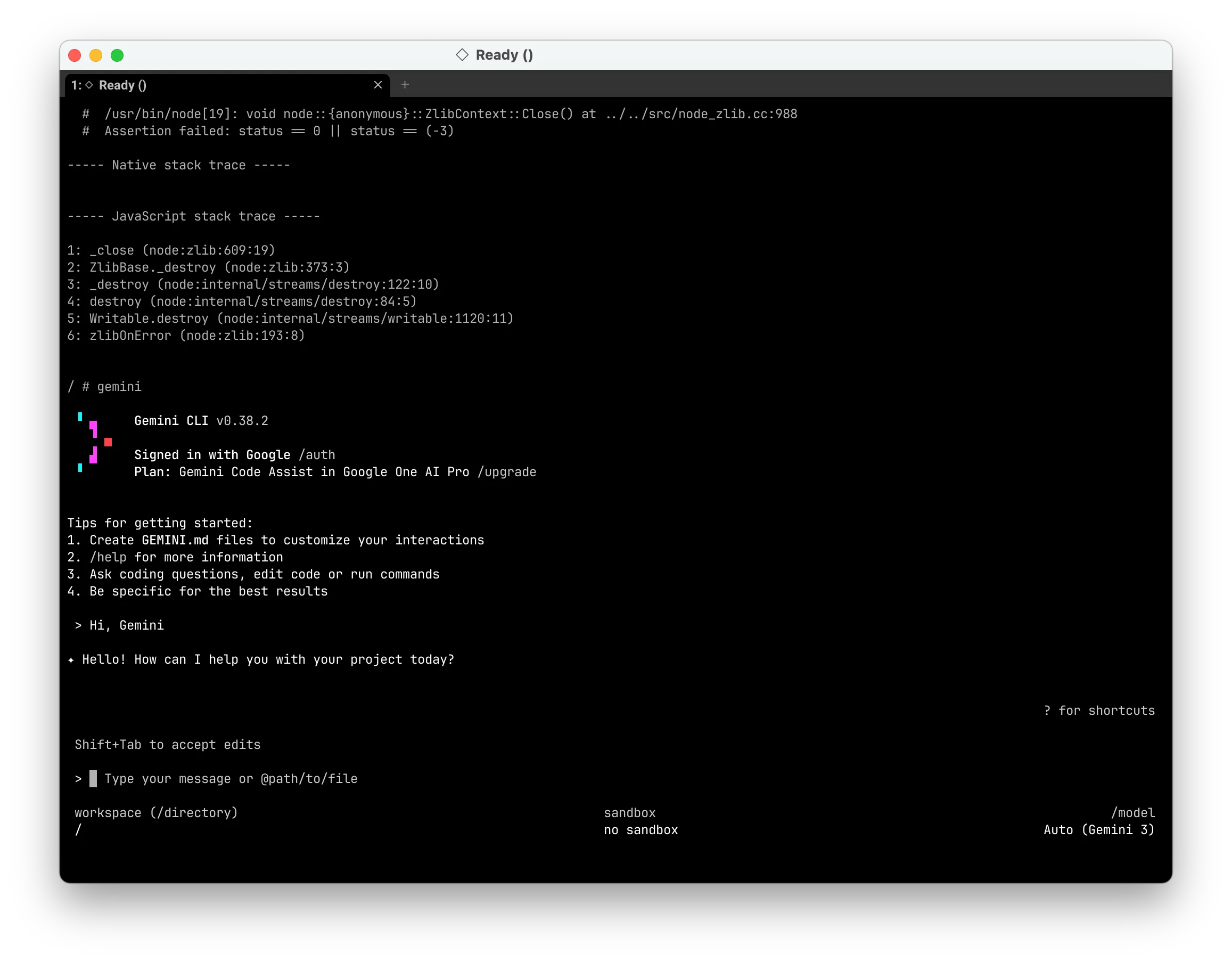macOS 上的 Gemini CLI