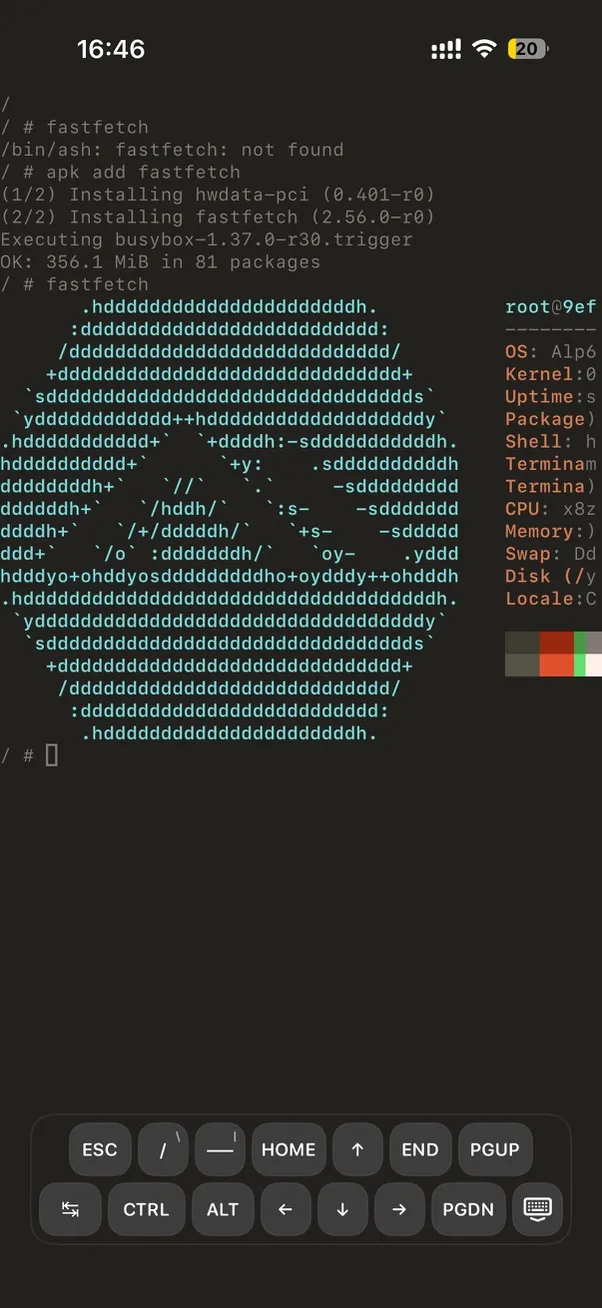 iPhone 上的 Fastfetch