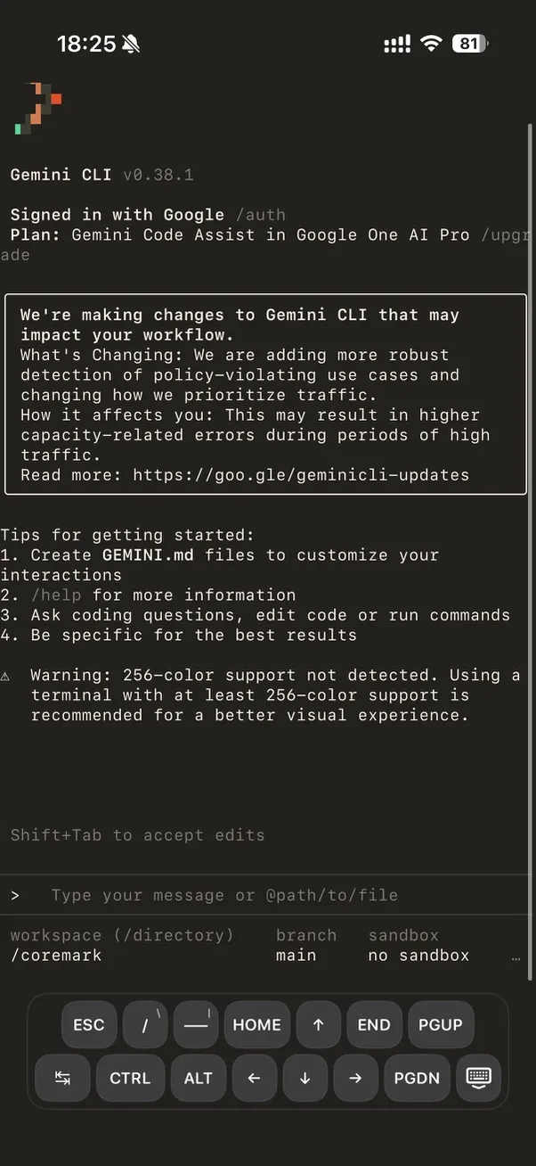 iPhone 上的 Gemini CLI