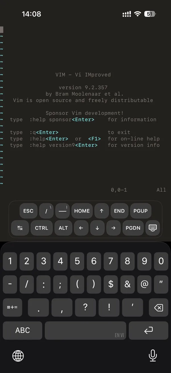 iPhone 上的 Vim