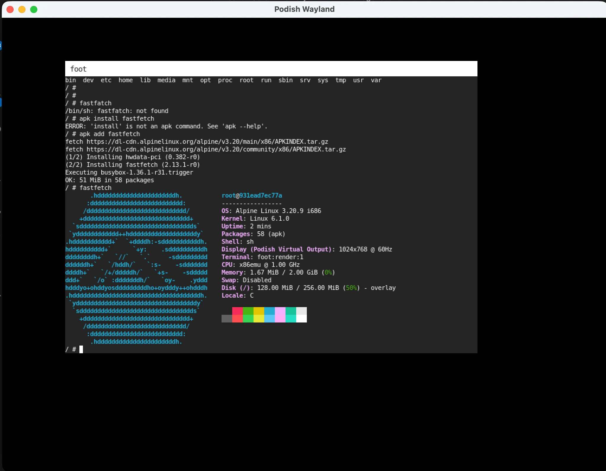 Wayland Foot 终端演示